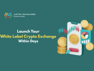 launch-your-crypto-exchange-in-days-with-experts