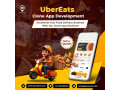grow-revenue-with-a-smart-food-delivery-app-solution-small-0